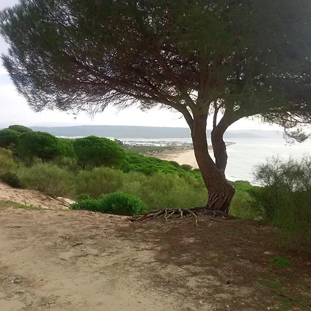 Appartement El Ronqueo Barbate